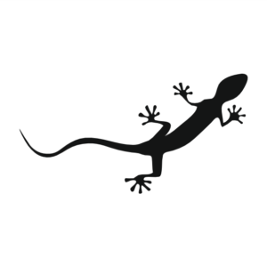 Gecko Aufkleber
