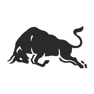 Stier Power Aufkleber