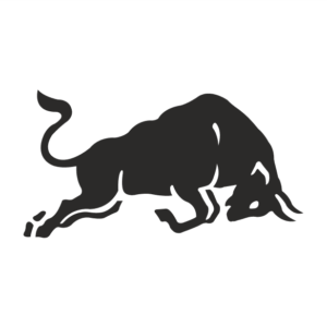 Stier Power Aufkleber