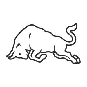 Stier Power Aufkleber